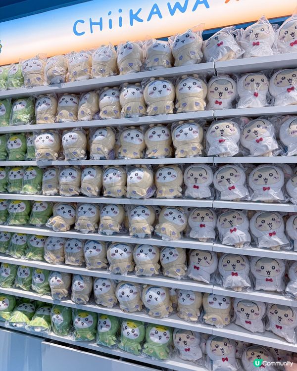 // 🌞Chiikawa酷暑夏日🧊 //