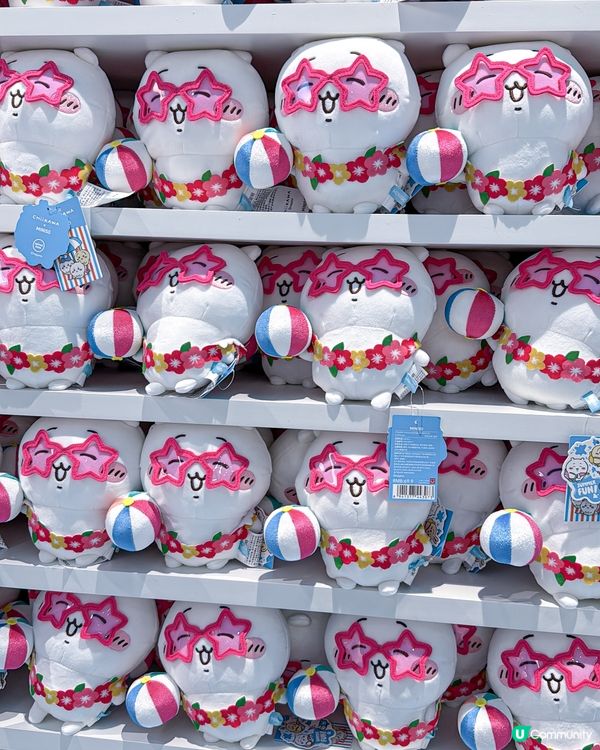 // 🌞Chiikawa酷暑夏日🧊 //