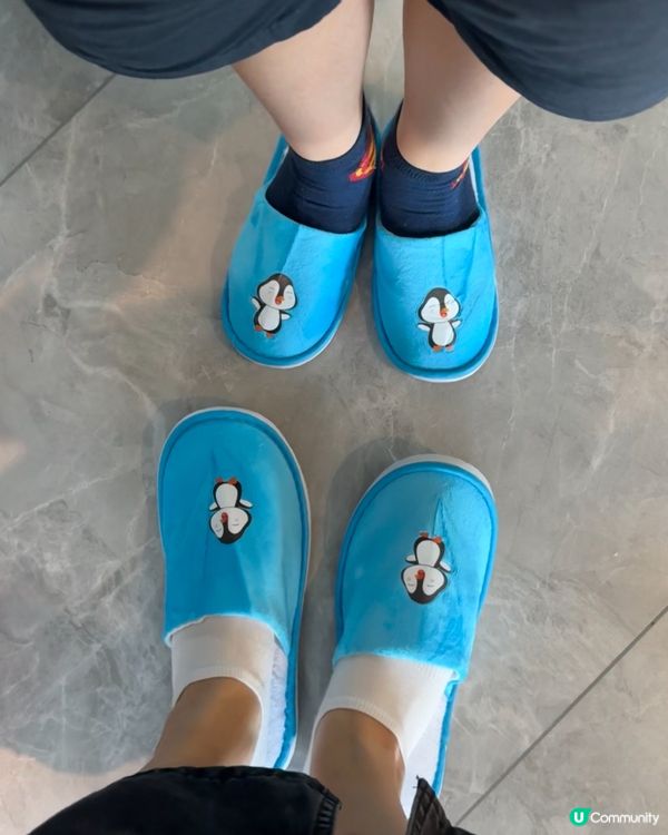 珠海親子遊🐧！企鵝主題酒店超正！🤩