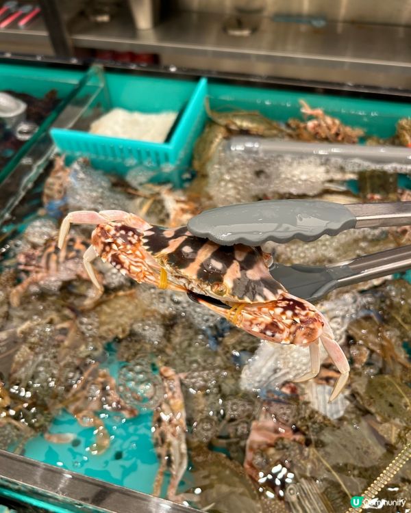 千海水產海鮮火鍋