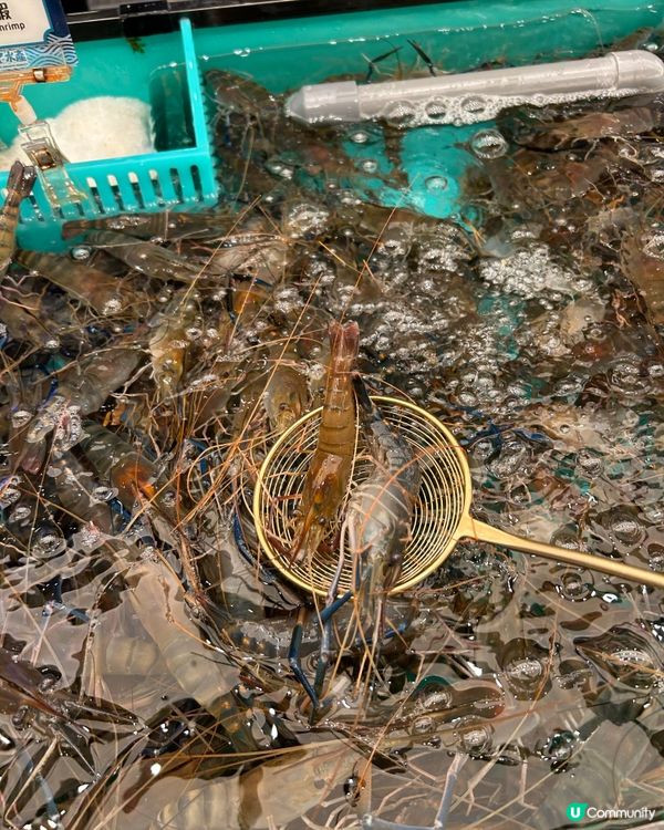 千海水產海鮮火鍋