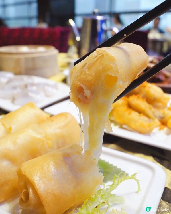 趁放假同屋企人去沙田萬怡酒店星海薈🫖 飲茶嘆點心🥢果然係TV...