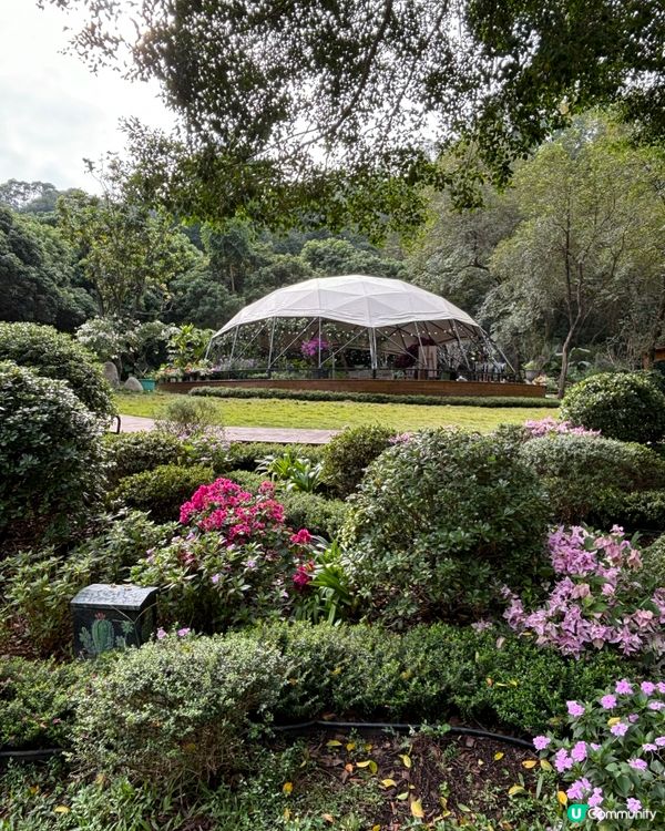 週末放電好去處！深業上城打卡＋美食＋購物一次滿足💖