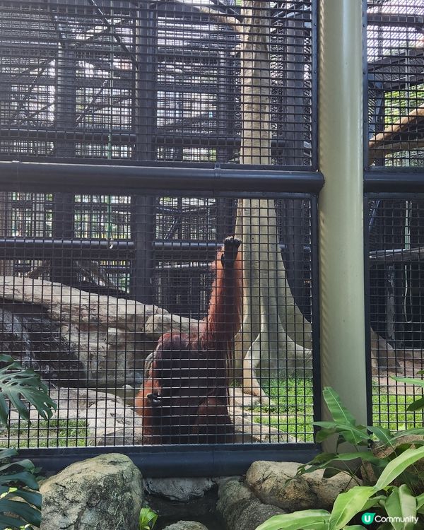 香港動植物公園🌿等你嚟探險！🌳