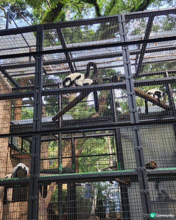 香港動植物公園🌿等你嚟探險！🌳