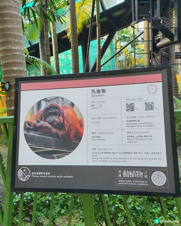 香港動植物公園🌿等你嚟探險！🌳