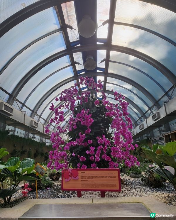 香港動植物公園🌿等你嚟探險！🌳