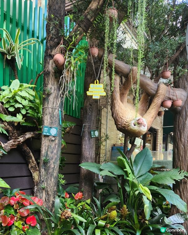 香港動植物公園🌿等你嚟探險！🌳