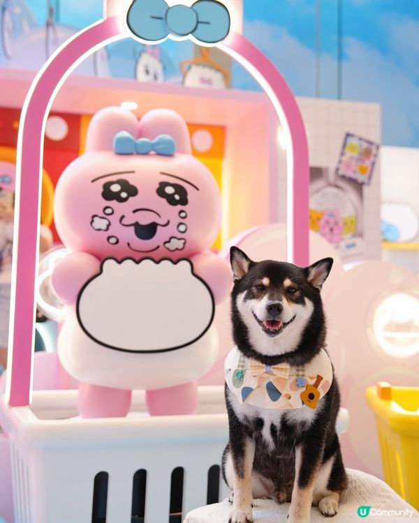 The ONE X 褲褲兔 laundry party🫧