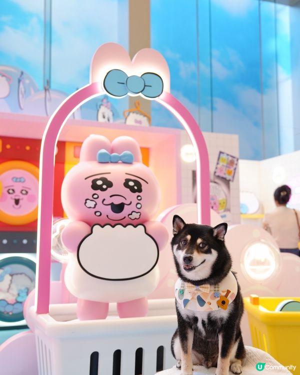 The ONE X 褲褲兔 laundry party🫧