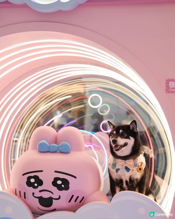 The ONE X 褲褲兔 laundry party🫧