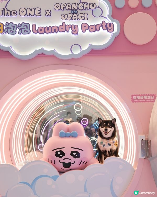 The ONE X 褲褲兔 laundry party🫧