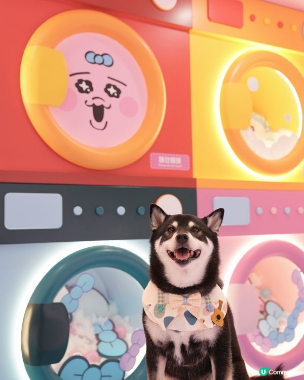 The ONE X 褲褲兔 laundry party🫧