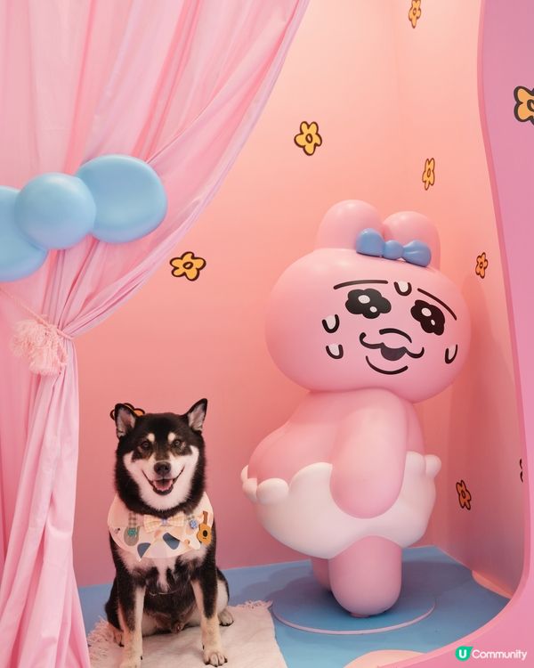 The ONE X 褲褲兔 laundry party🫧