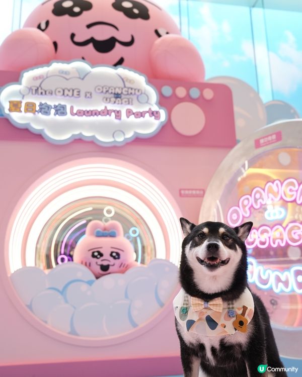 The ONE X 褲褲兔 laundry party🫧