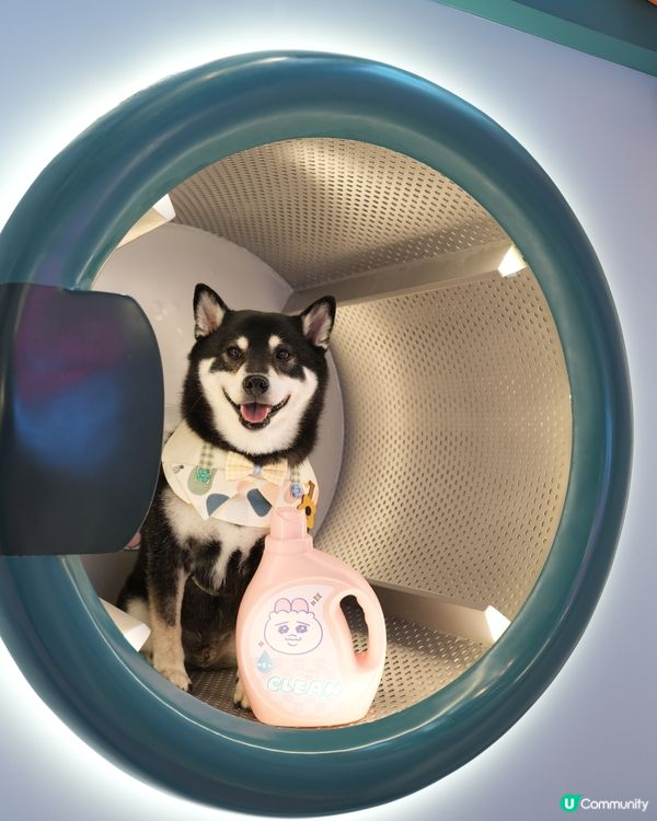 The ONE X 褲褲兔 laundry party🫧