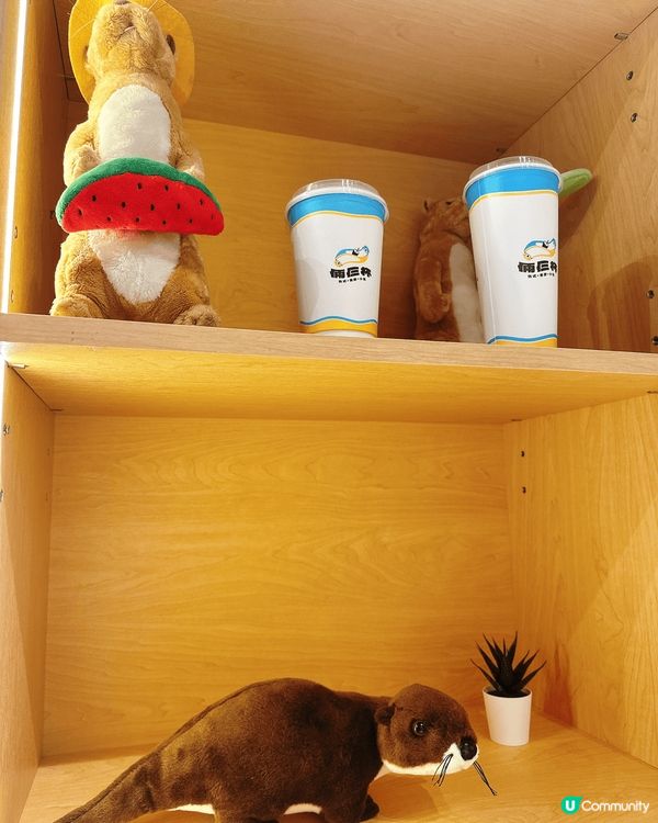 倆仨杯午餐😋台式文青風！🍜