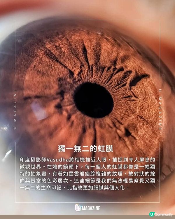 每個人眼裡都藏著神秘的宇宙？印度攝影師 Vasudha 的微距攝影