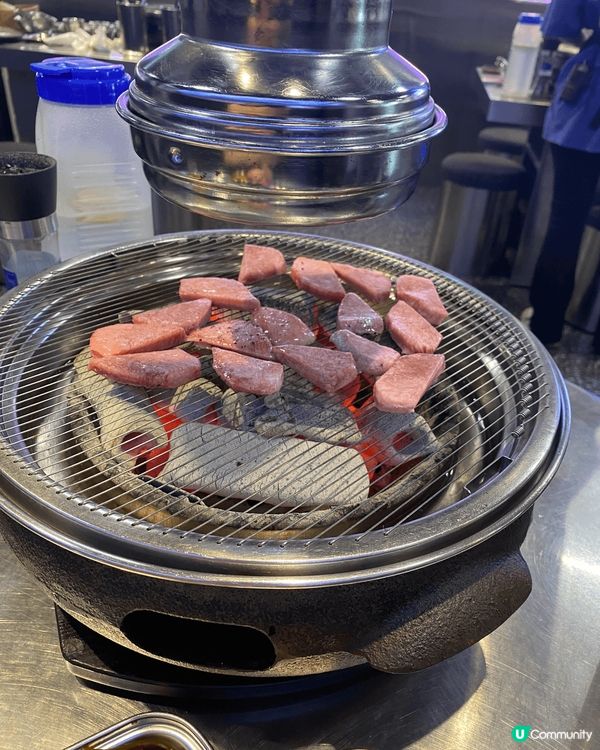 我想推介位卡深圳北村韓食烤活鰻啊，呢個鰻魚條條生猛，肉質肥美...