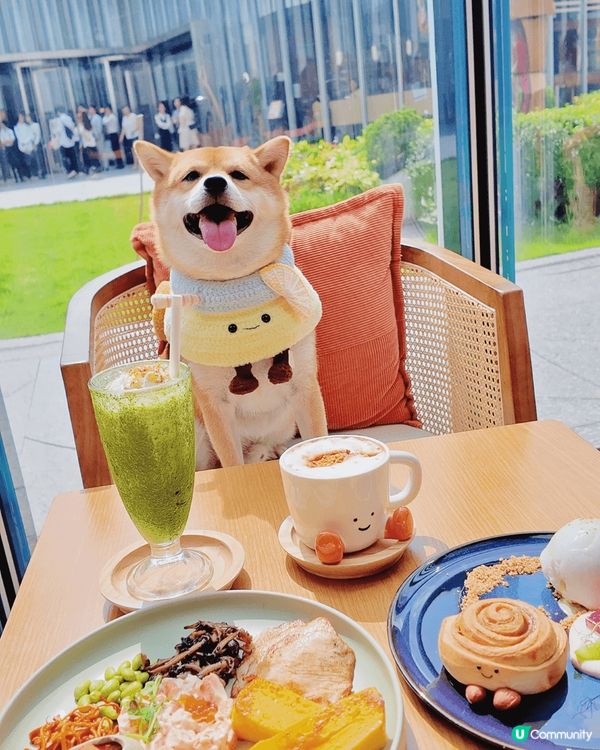 🍽️Comfy by Chef‘s Stage (觀塘分店)...