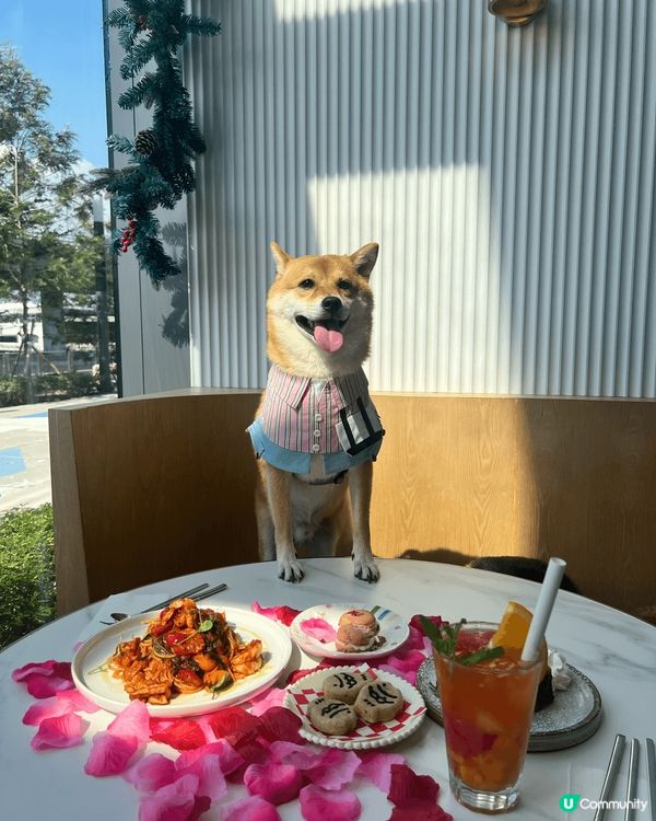 🍽️Comfy by Chef‘s Stage (觀塘分店)...