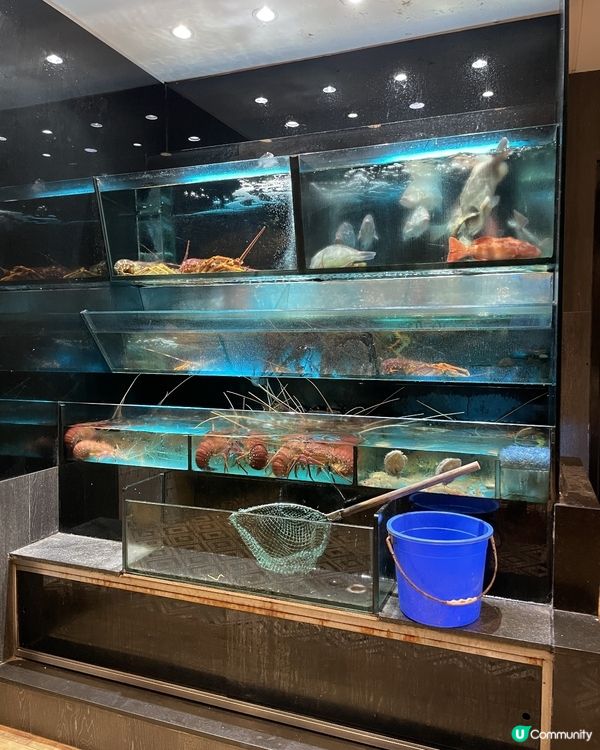 長沙灣隱世粤菜