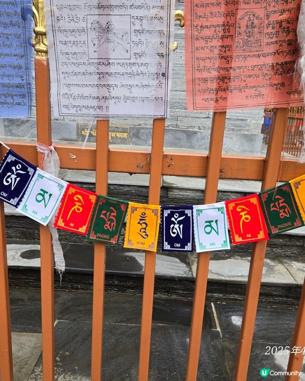 尼泊爾 Annapurna Base Camp 