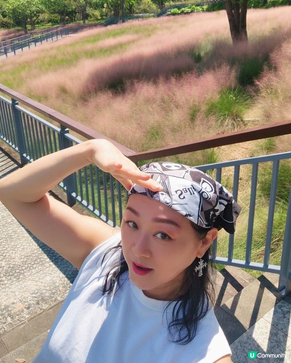 🌺我愛花花之🌺中山金鐘湖粉黛亂子草！😍🌺😍🌺😍