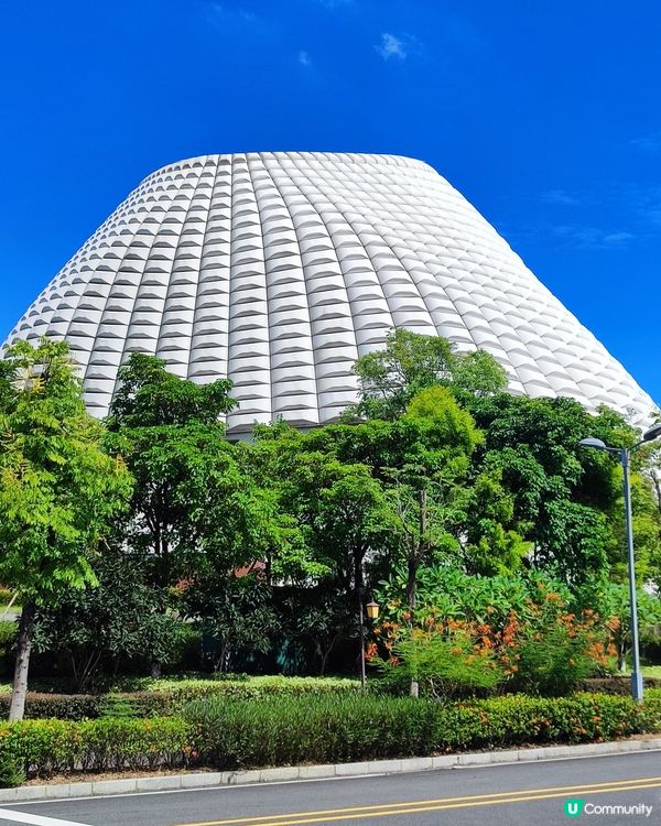 🌺我愛花花之🌺中山金鐘湖粉黛亂子草！😍🌺😍🌺😍