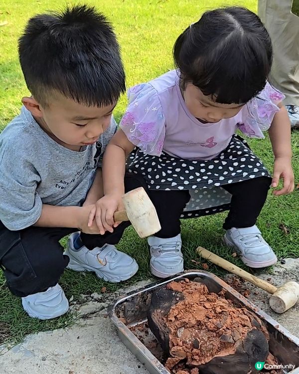 暑假親子遊！摘龍眼、玩水槍 🤩