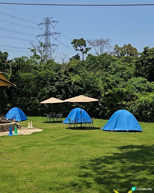 暑假親子遊！摘龍眼、玩水槍 🤩