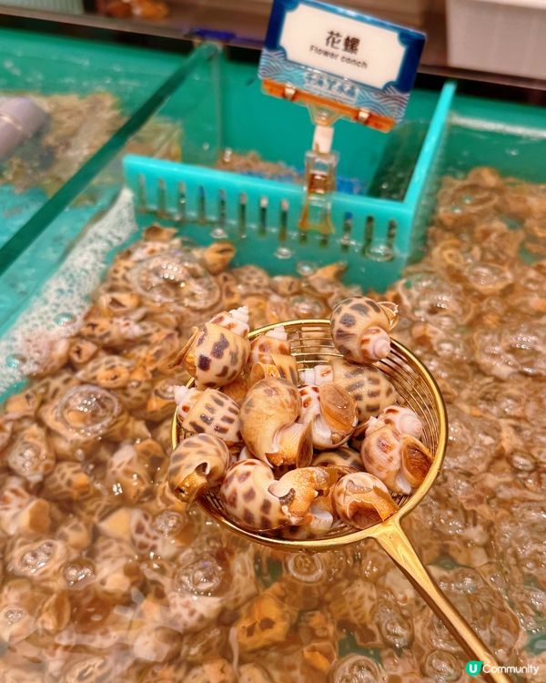 千海水產放題🤤！旺角店報告！