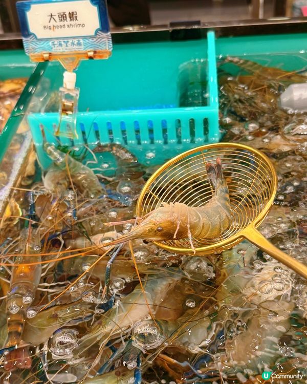 千海水產放題🤤！旺角店報告！