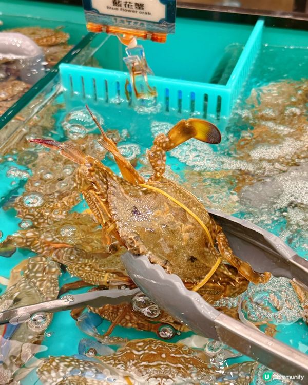 千海水產放題🤤！旺角店報告！