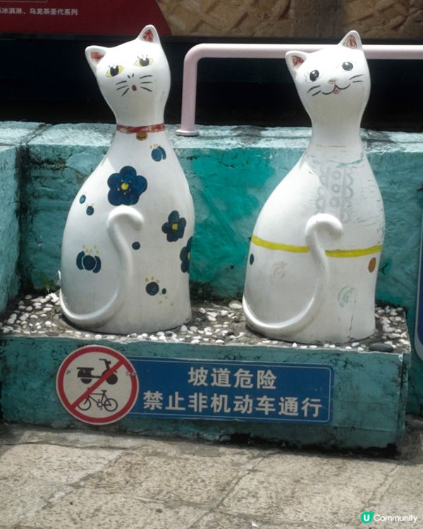 福建｜打卡貓街🐱