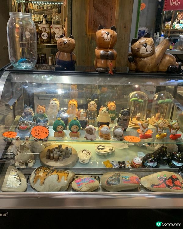 福建｜打卡貓街🐱