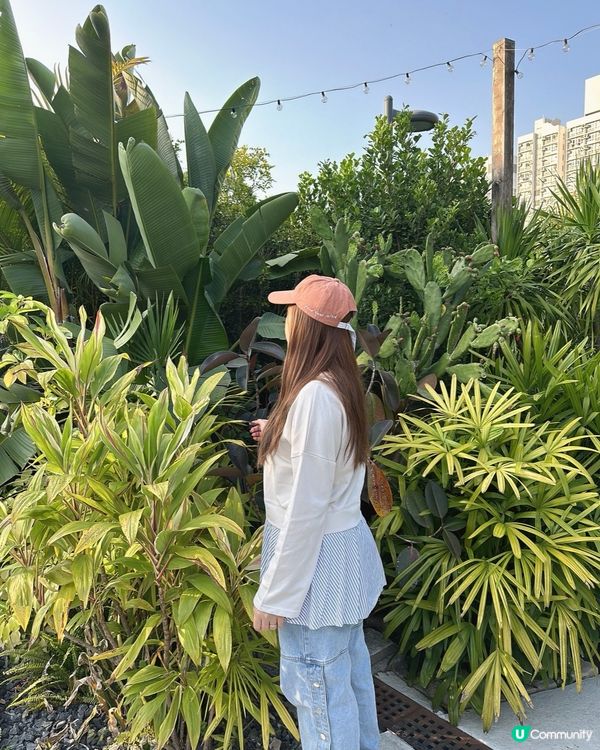 梅窩The Hideout + 洗衣公司打卡全攻略📍