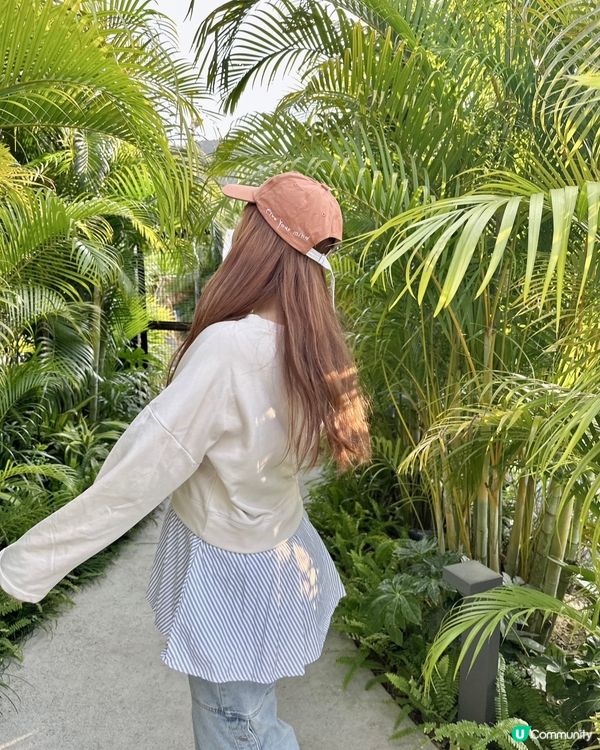 梅窩The Hideout + 洗衣公司打卡全攻略📍