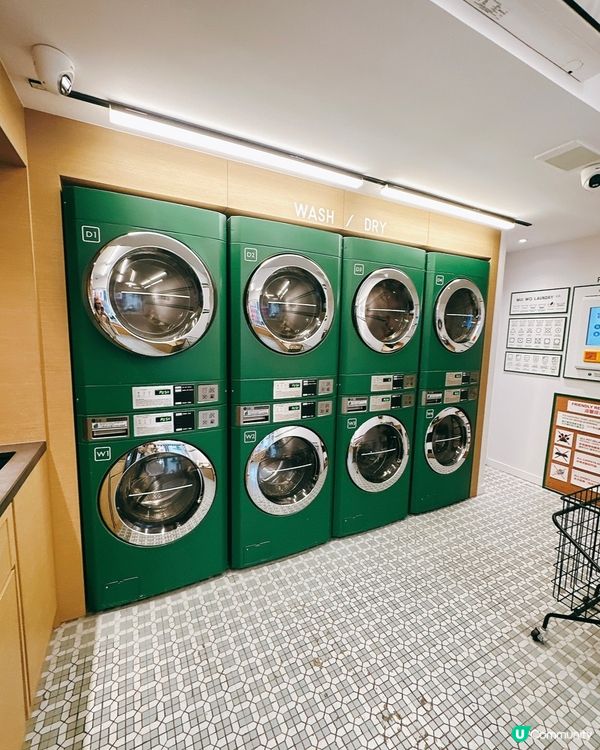 梅窩The Hideout + 洗衣公司打卡全攻略📍