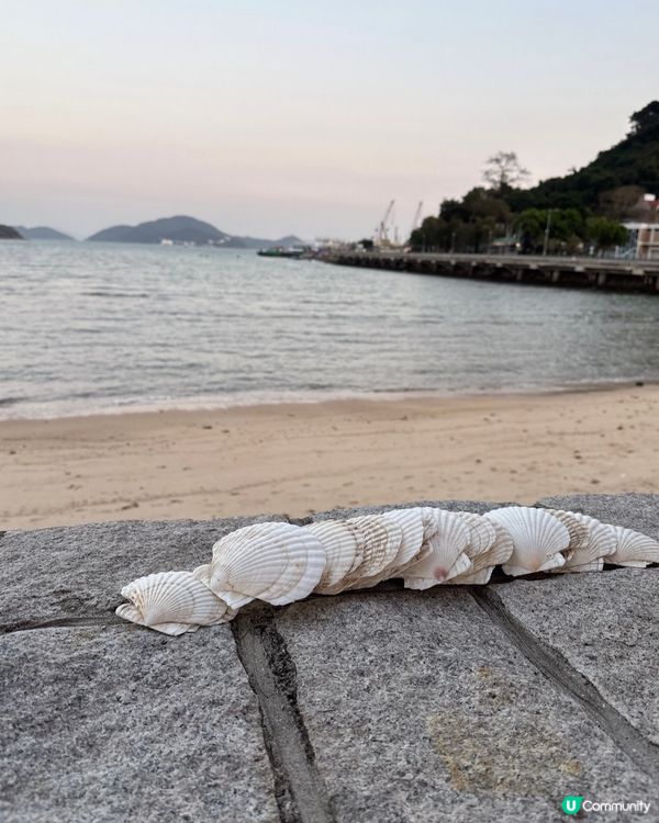 梅窩The Hideout + 洗衣公司打卡全攻略📍