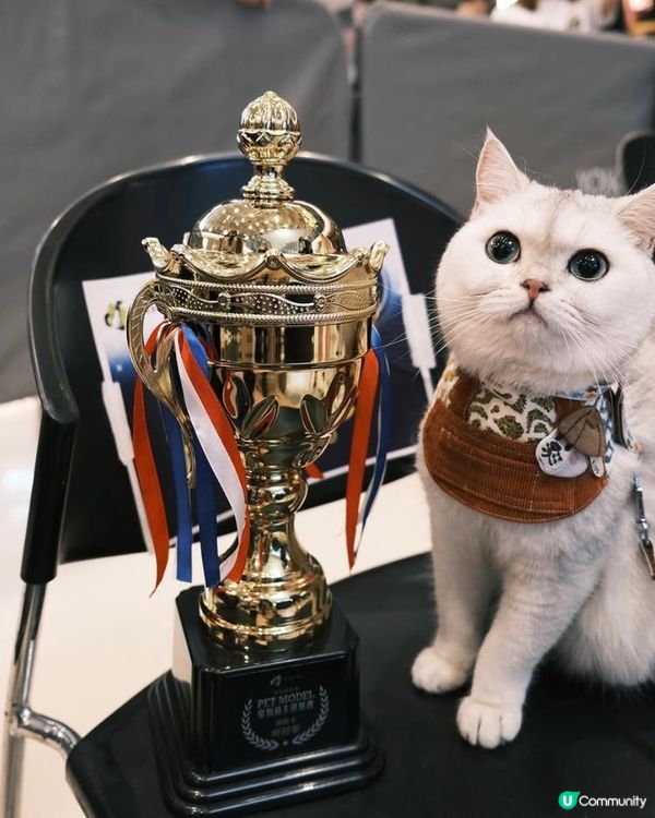 第五屆全港寵物萌主選拔賽總冠軍