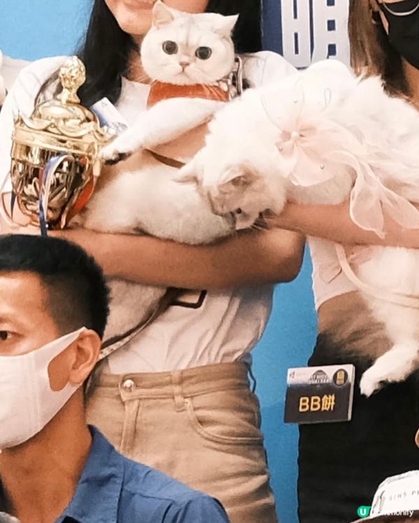 第五屆全港寵物萌主選拔賽總冠軍