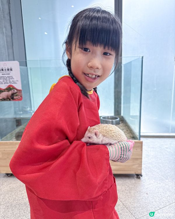 // 🦔親親小動物🐇 //