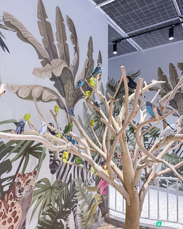 // 🦔親親小動物🐇 //