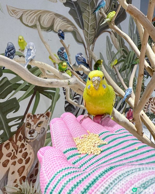 // 🦔親親小動物🐇 //