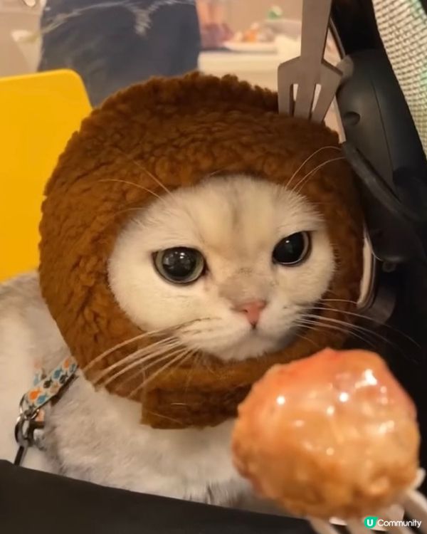 IKEA巨型版瑞典肉丸 !