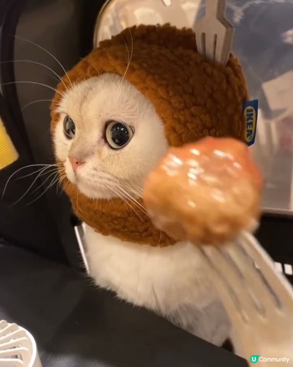 IKEA巨型版瑞典肉丸 !