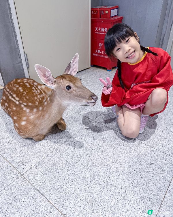 // 🦔親親小動物🐇 //