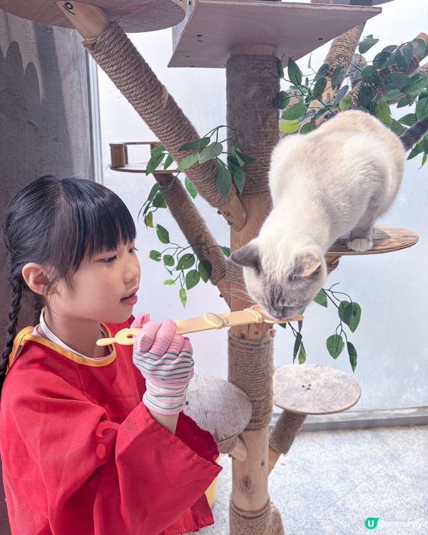 // 🦔親親小動物🐇 //