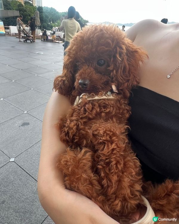 深圳版M+！蛇口海上藝術館🌊無敵海景梯級打卡📸